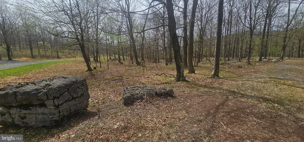 $57,500 | Goldenseal Road, Maysville, WV 26833