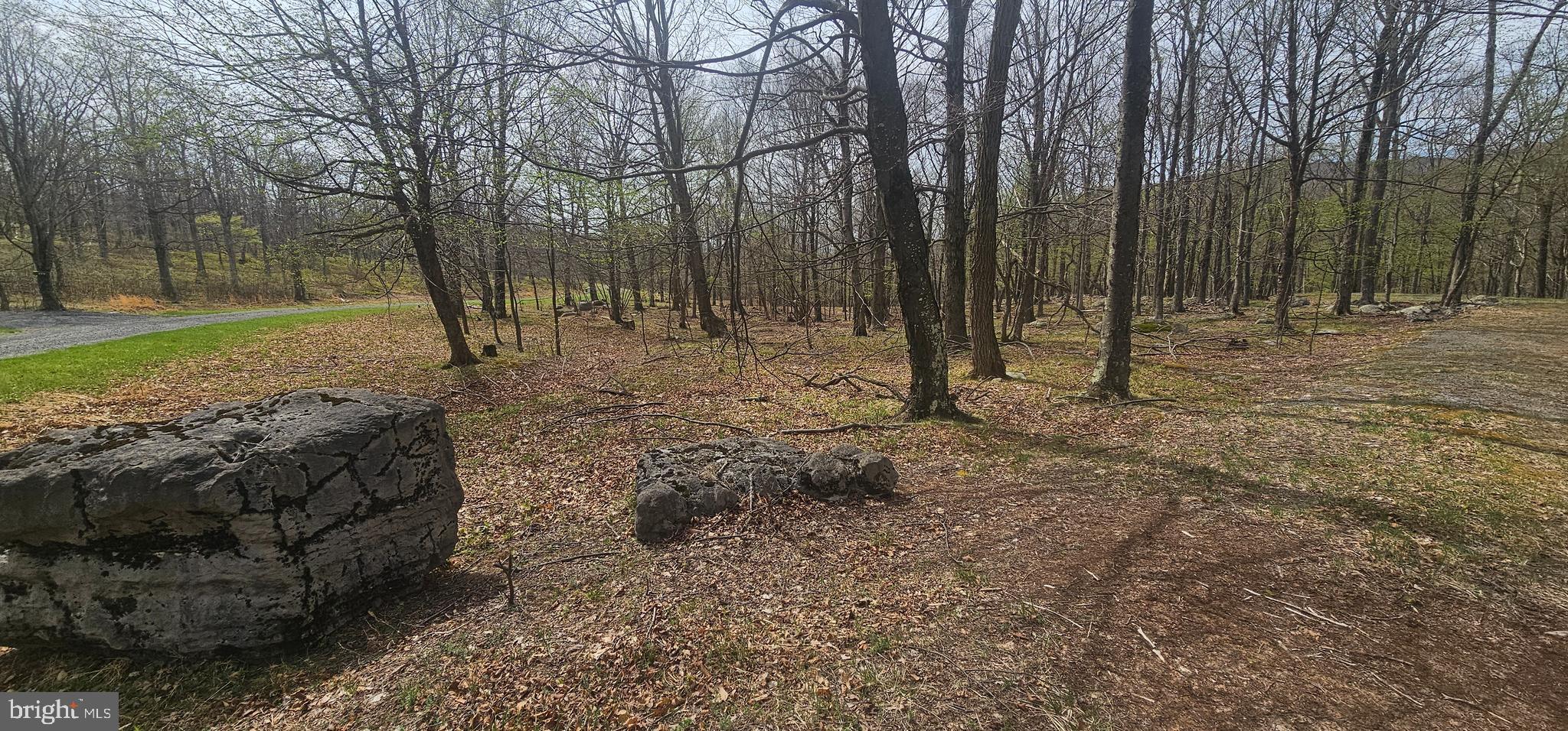 Goldenseal Road Maysville, WV 26833 - Photo 6 of 34