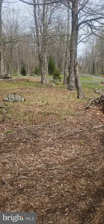 $57,500 | Goldenseal Road, Maysville, WV 26833