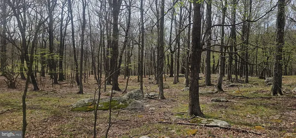 $57,500 | Goldenseal Road, Maysville, WV 26833