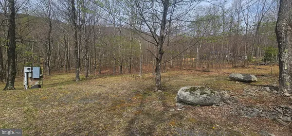 $57,500 | Goldenseal Road, Maysville, WV 26833