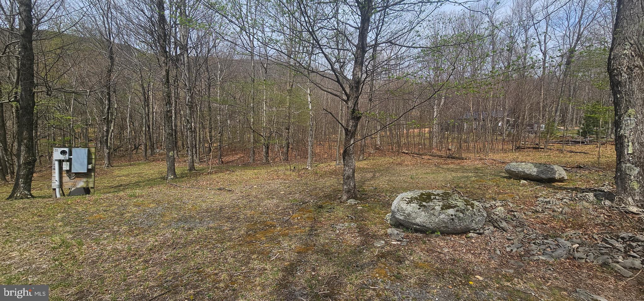 Goldenseal Road Maysville, WV 26833 - Photo 9 of 34