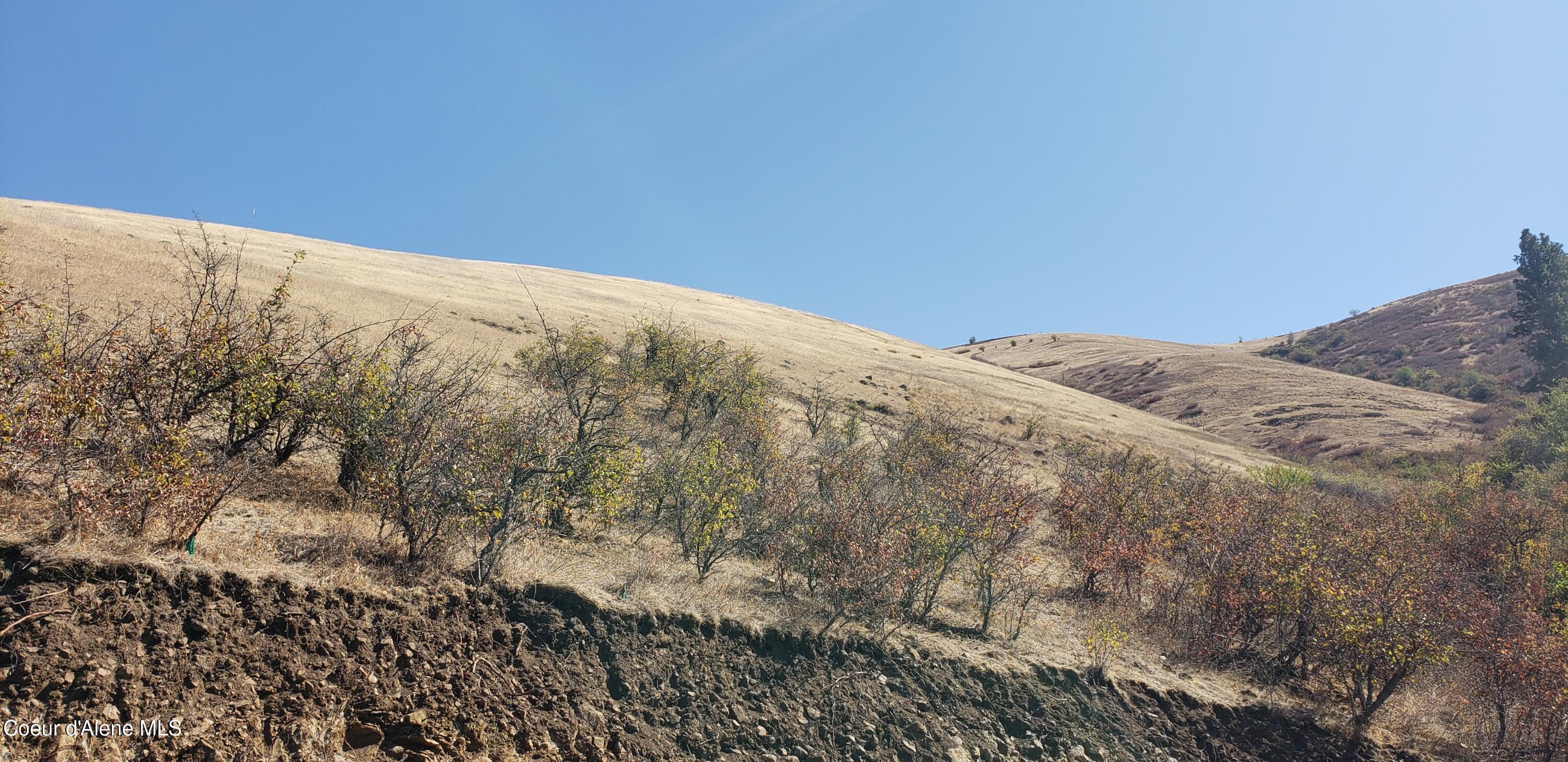 Nka Nka Clearwater Ridge Drive Juliaetta, ID 83535 - Photo 12 of 14 6009