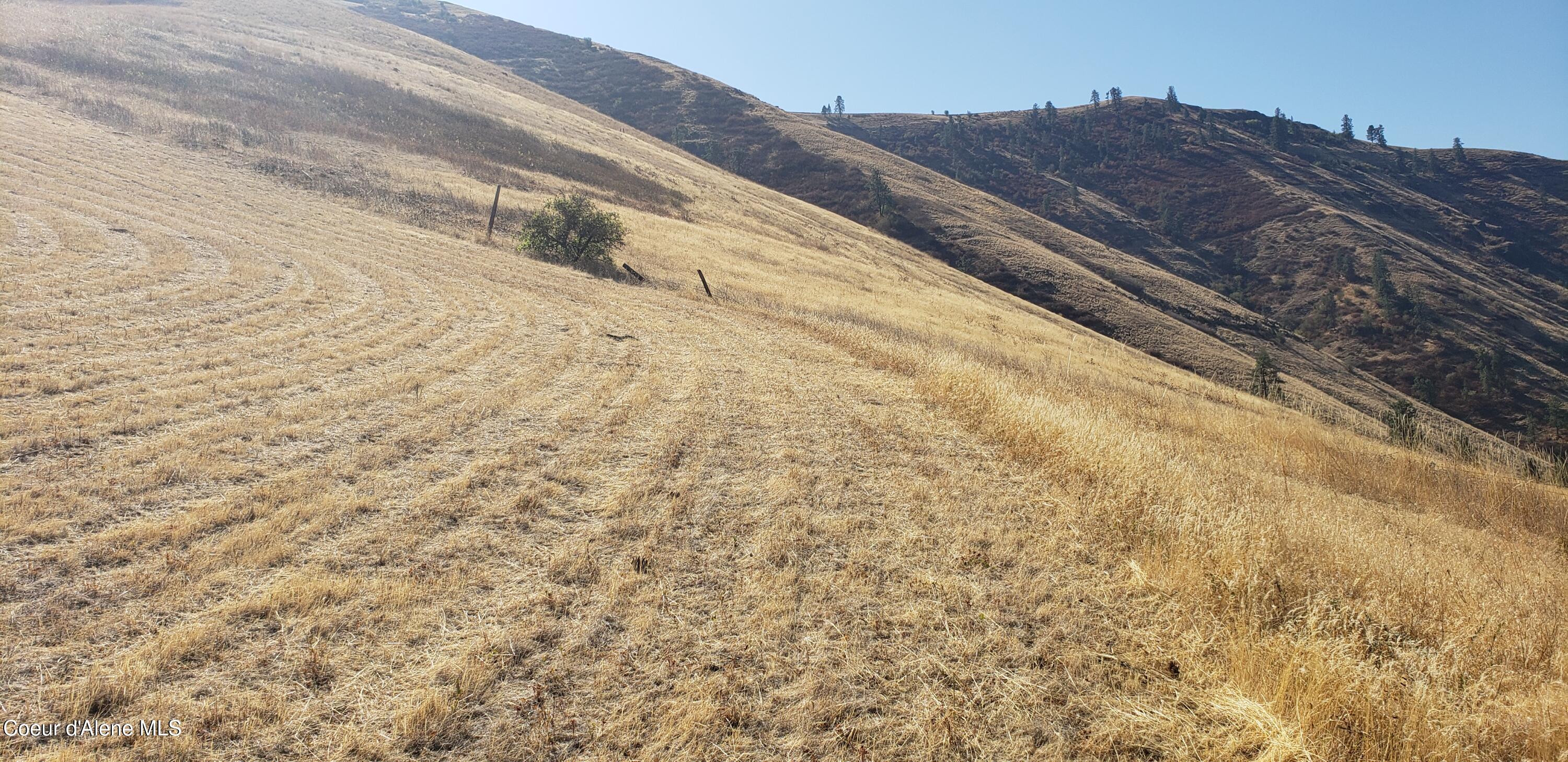 Nka Nka Clearwater Ridge Drive Juliaetta, ID 83535 - Photo 14 of 14 5985