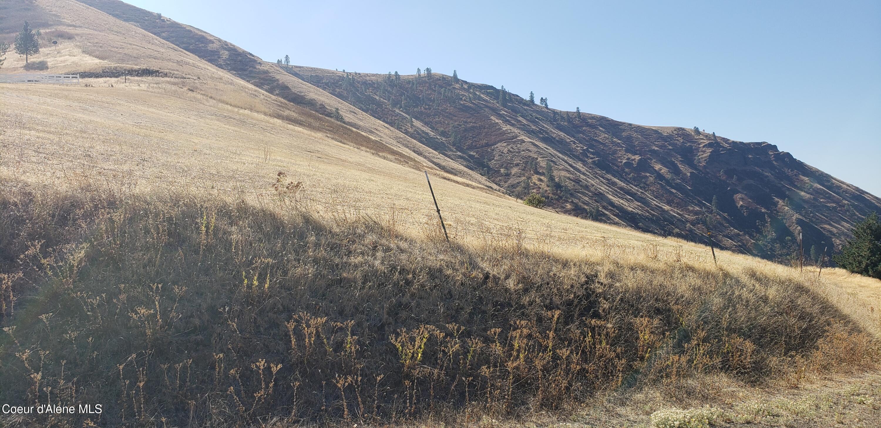 Nka Nka Clearwater Ridge Drive Juliaetta, ID 83535 - Photo 10 of 14 5999