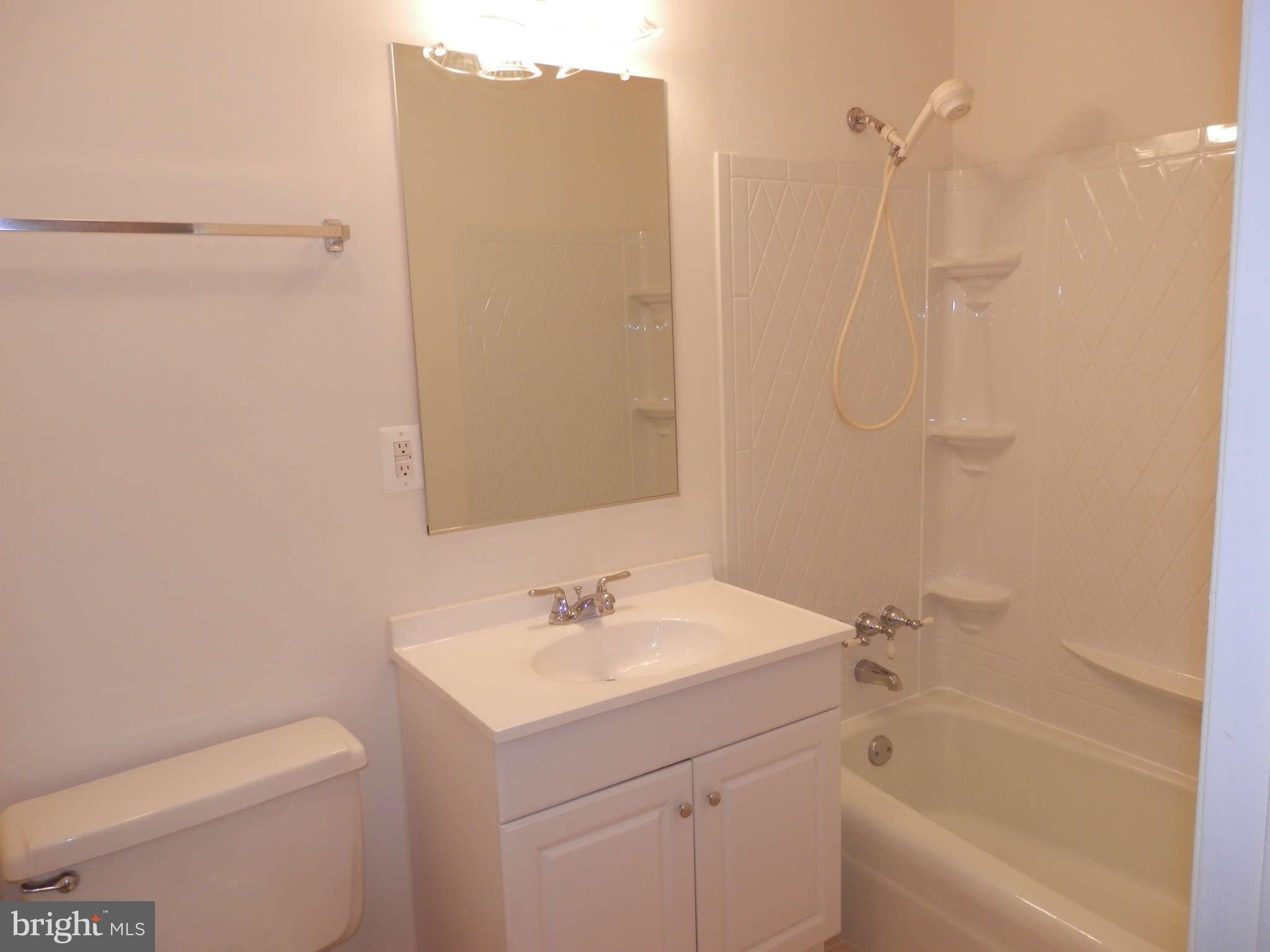 2204 White Cornus Lane Reston, VA 20191 - Photo 11 of 25 Main Bath