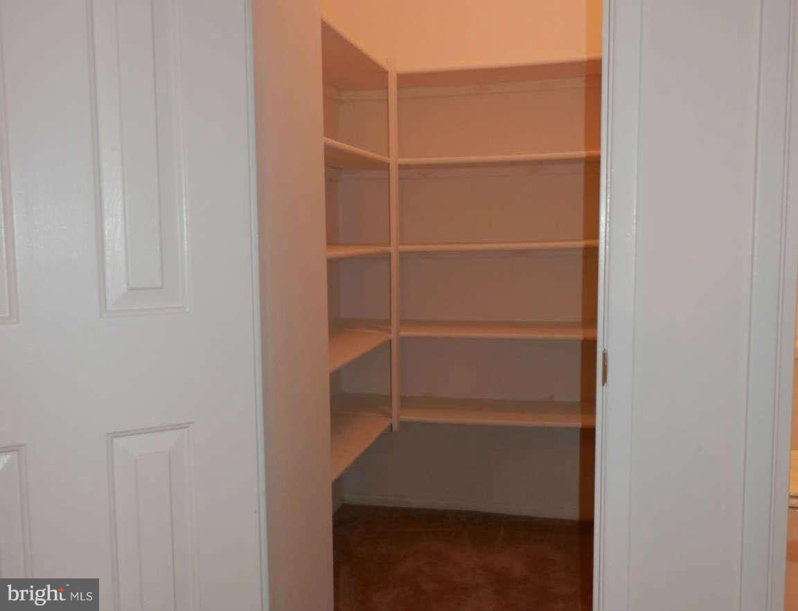 2204 White Cornus Lane Reston, VA 20191 - Photo 12 of 25 linen closet