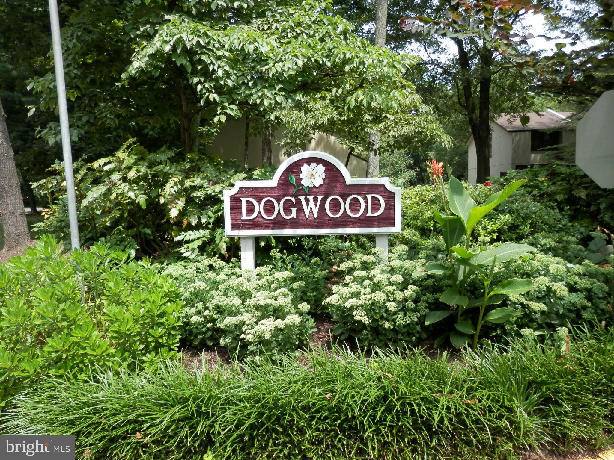 2204 White Cornus Lane Reston, VA 20191 - Photo 22 of 25 Community