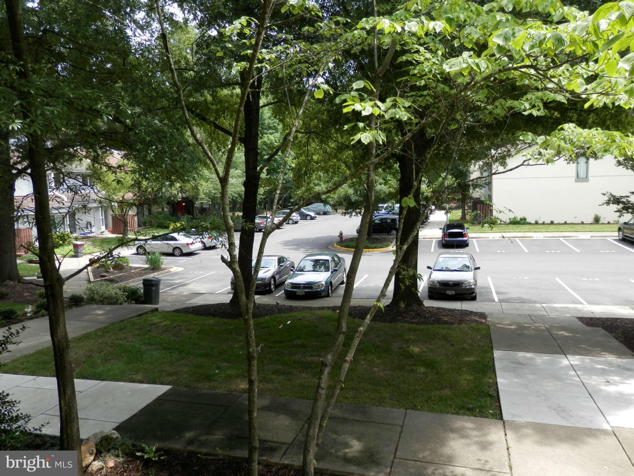 2204 White Cornus Lane Reston, VA 20191 - Photo 23 of 25 Front View