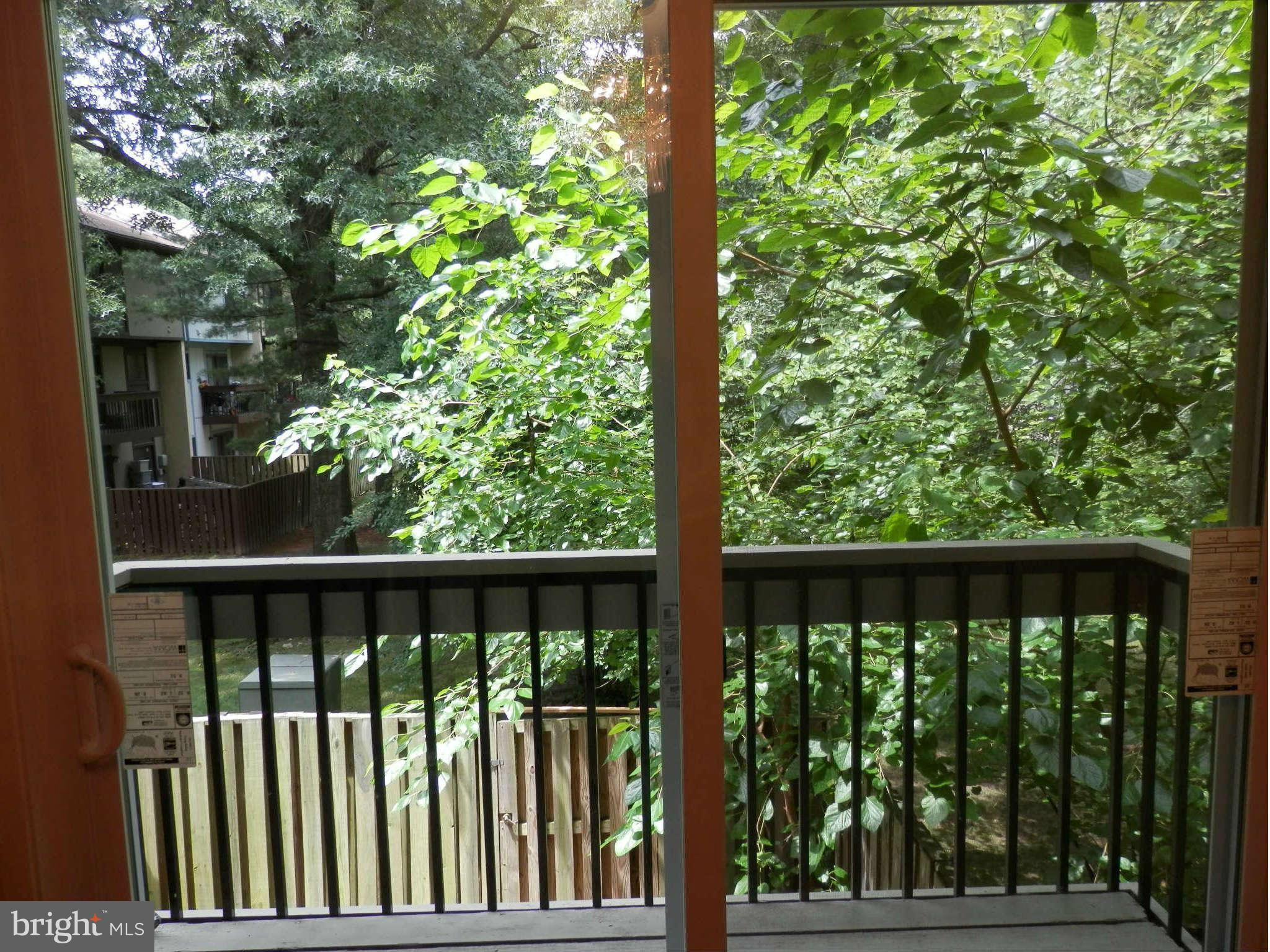 2204 White Cornus Lane Reston, VA 20191 - Photo 7 of 25 View Deck