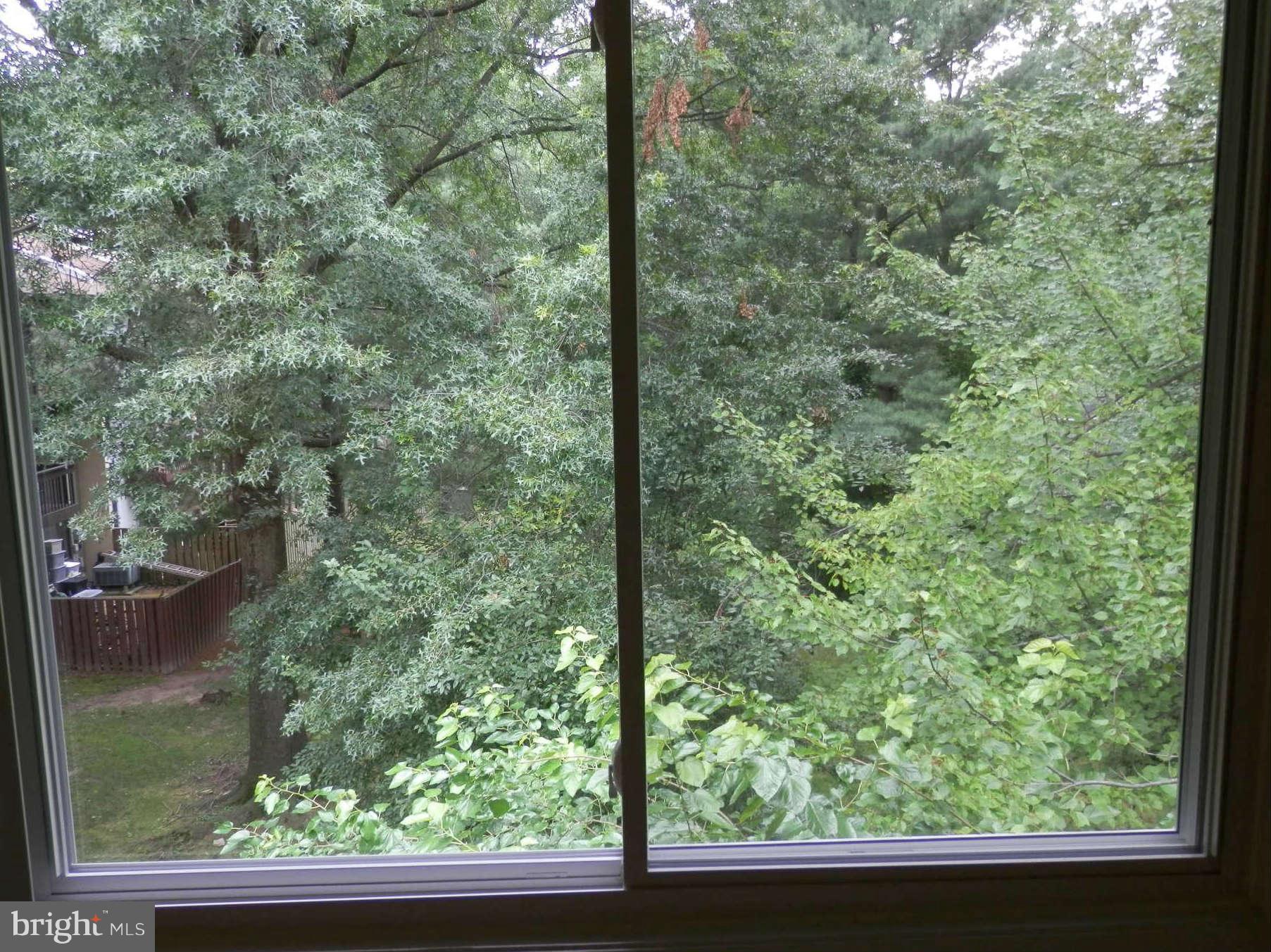 2204 White Cornus Lane Reston, VA 20191 - Photo 10 of 25 Bedroom Master