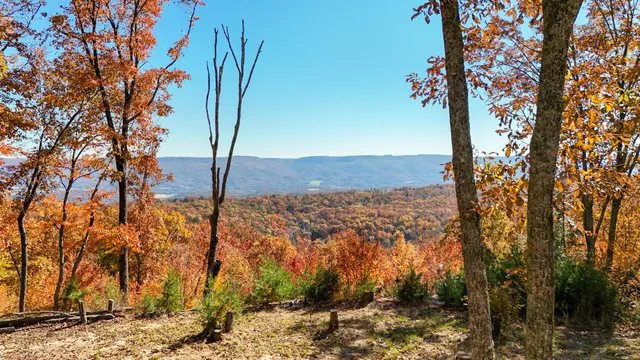$700,000 | 400 Maple Trail, Pikeville, TN 37367