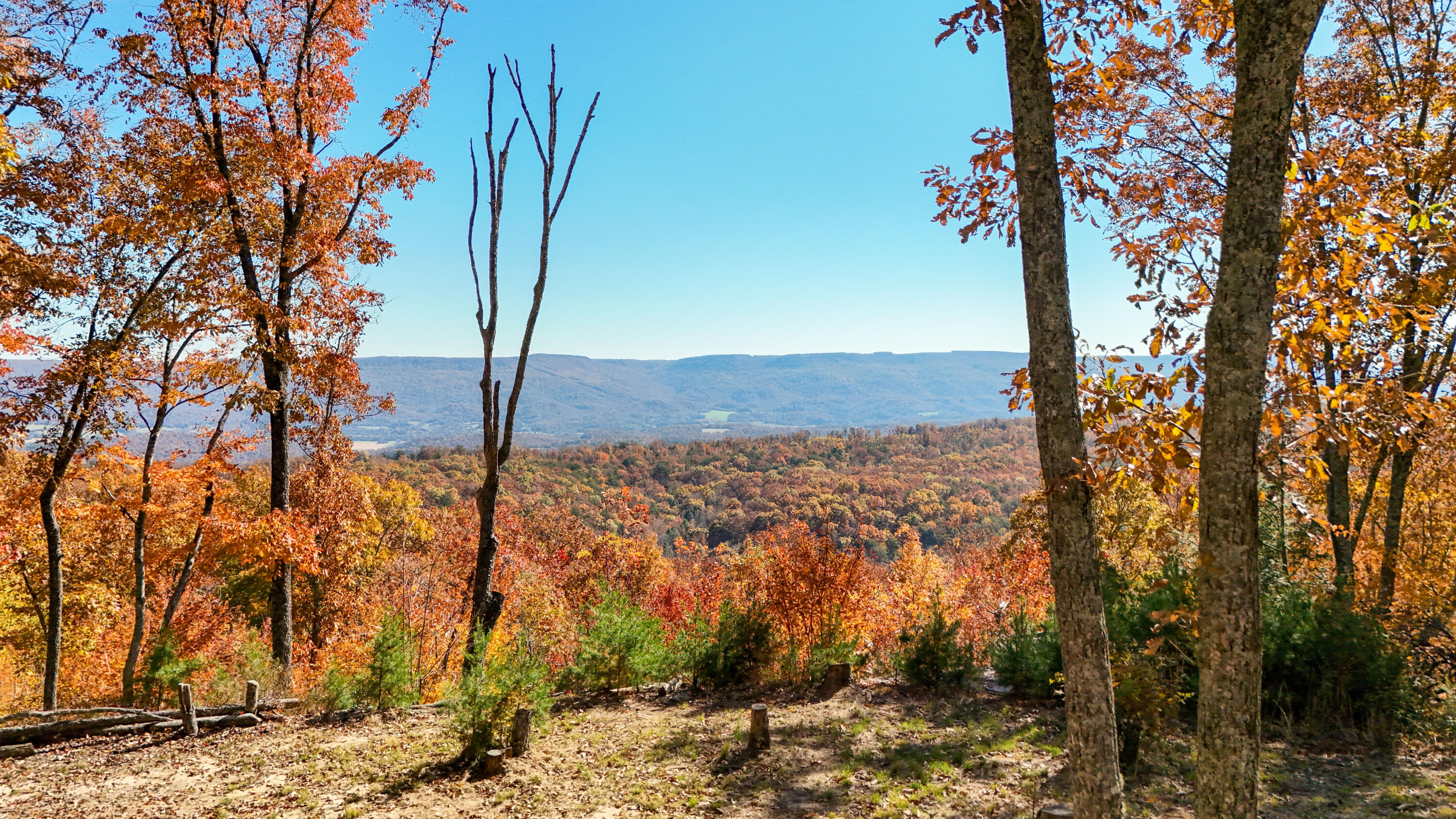 400 Maple Trail Pikeville, TN 37367 - Photo 3 of 84 MapleDrone-1