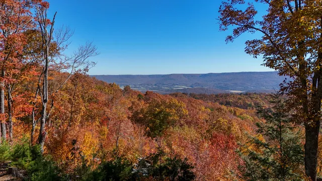 $700,000 | 400 Maple Trail, Pikeville, TN 37367