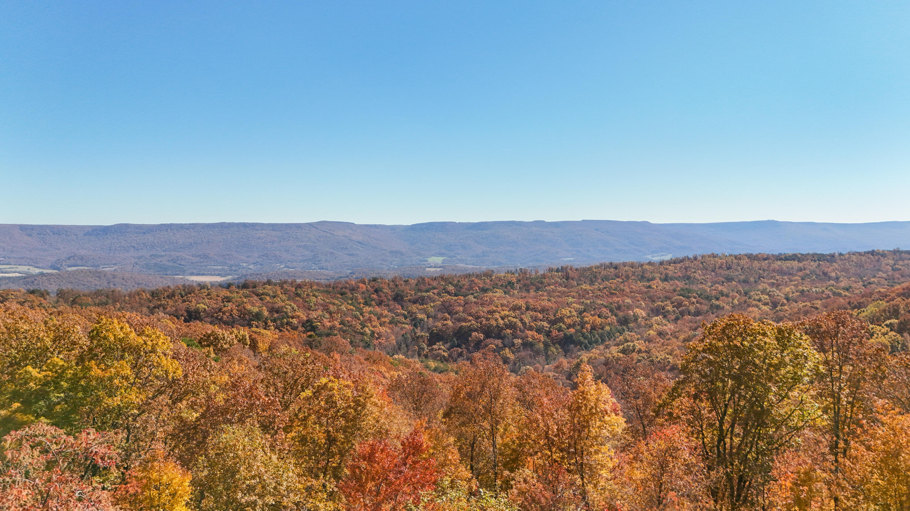 400 Maple Trail Pikeville, TN 37367 - Photo 57 of 84 MapleDrone-2