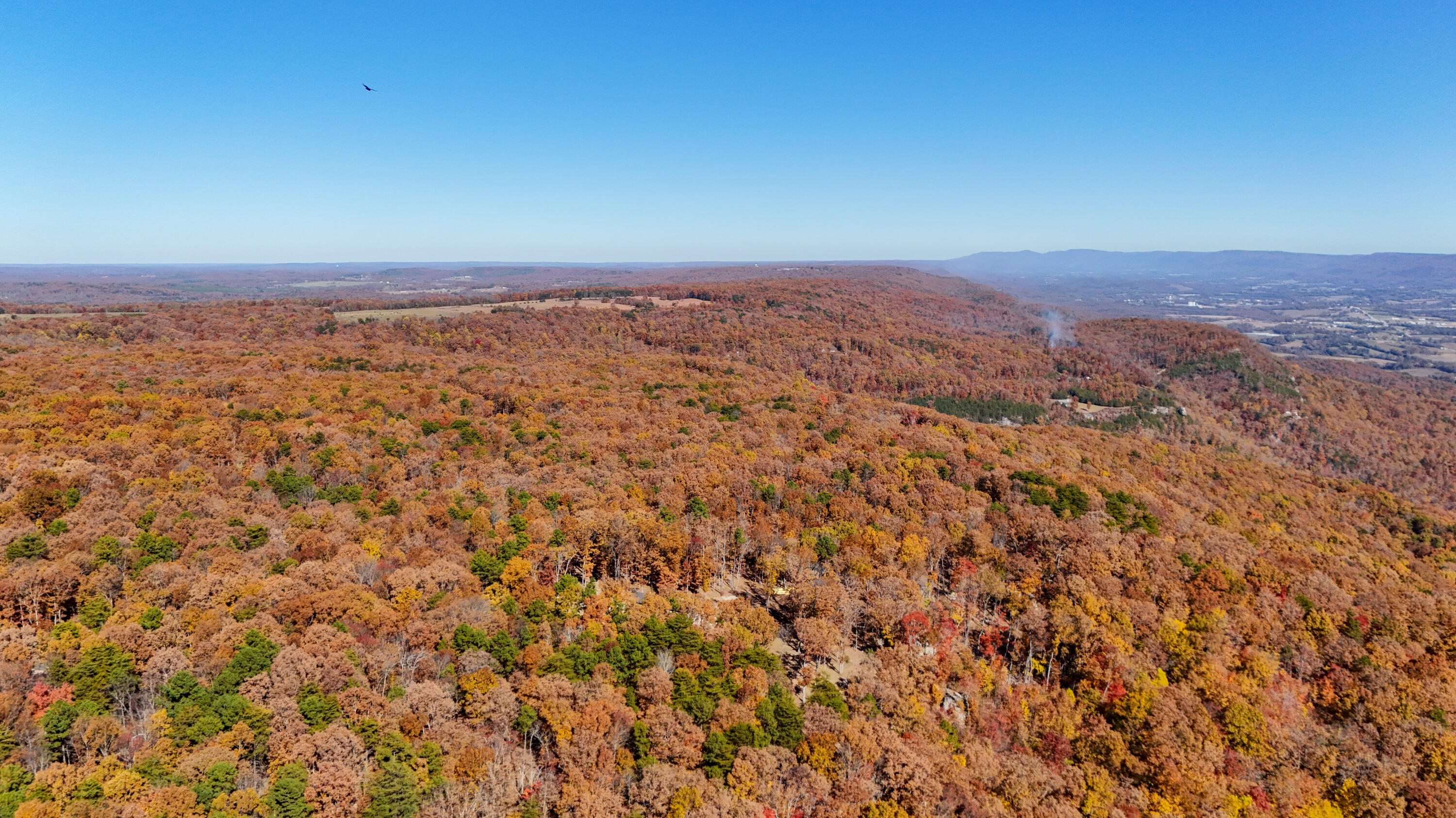 400 Maple Trail Pikeville, TN 37367 - Photo 59 of 84 MapleDrone-7