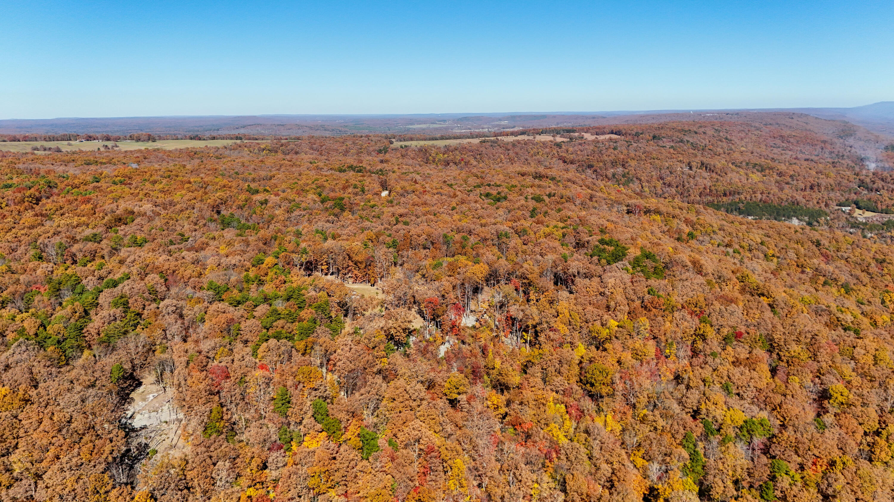 400 Maple Trail Pikeville, TN 37367 - Photo 60 of 84 MapleDrone-8