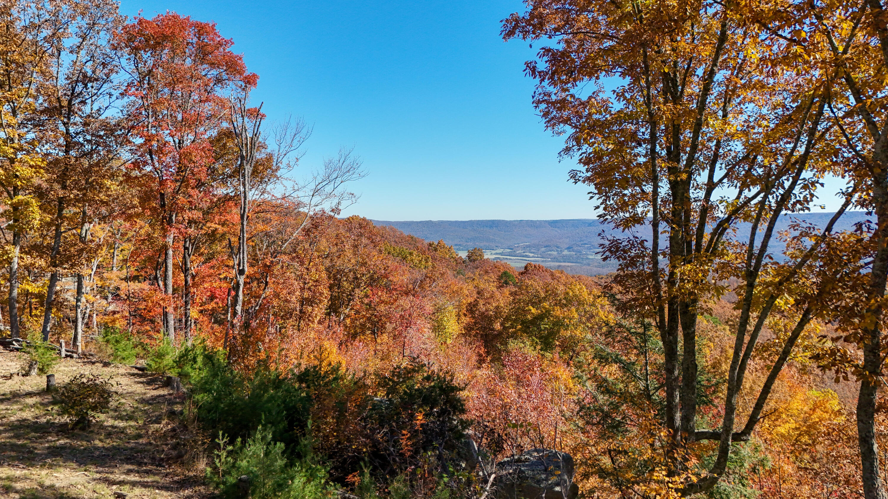 400 Maple Trail Pikeville, TN 37367 - Photo 6 of 84 MapleDrone-15