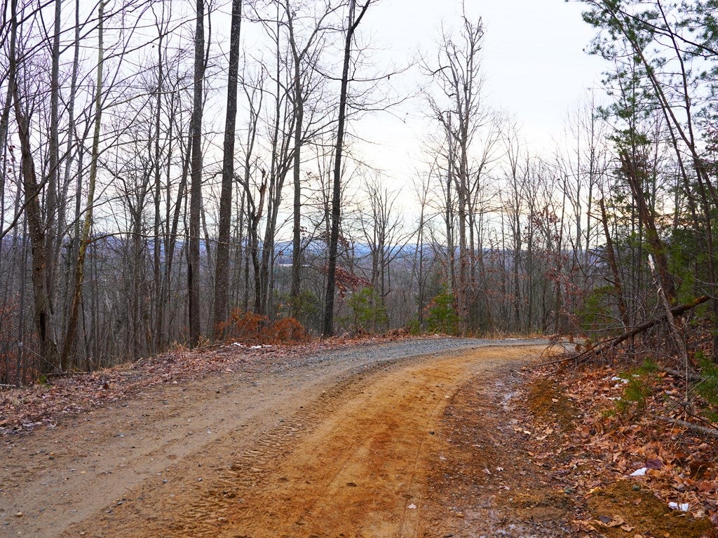 0 Dug Spur Road Callaway, VA 24067 - Photo 15 of 56 Gallery Image 15