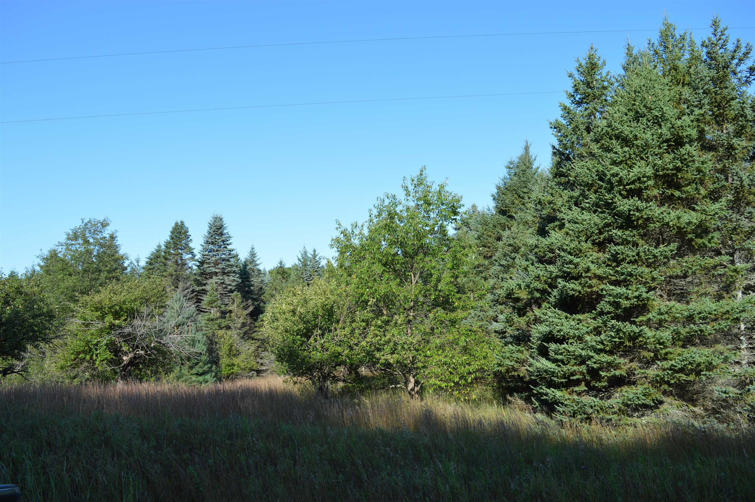 Gildas Rd Rapid Alden, MI 49612 - Photo 1 of 15