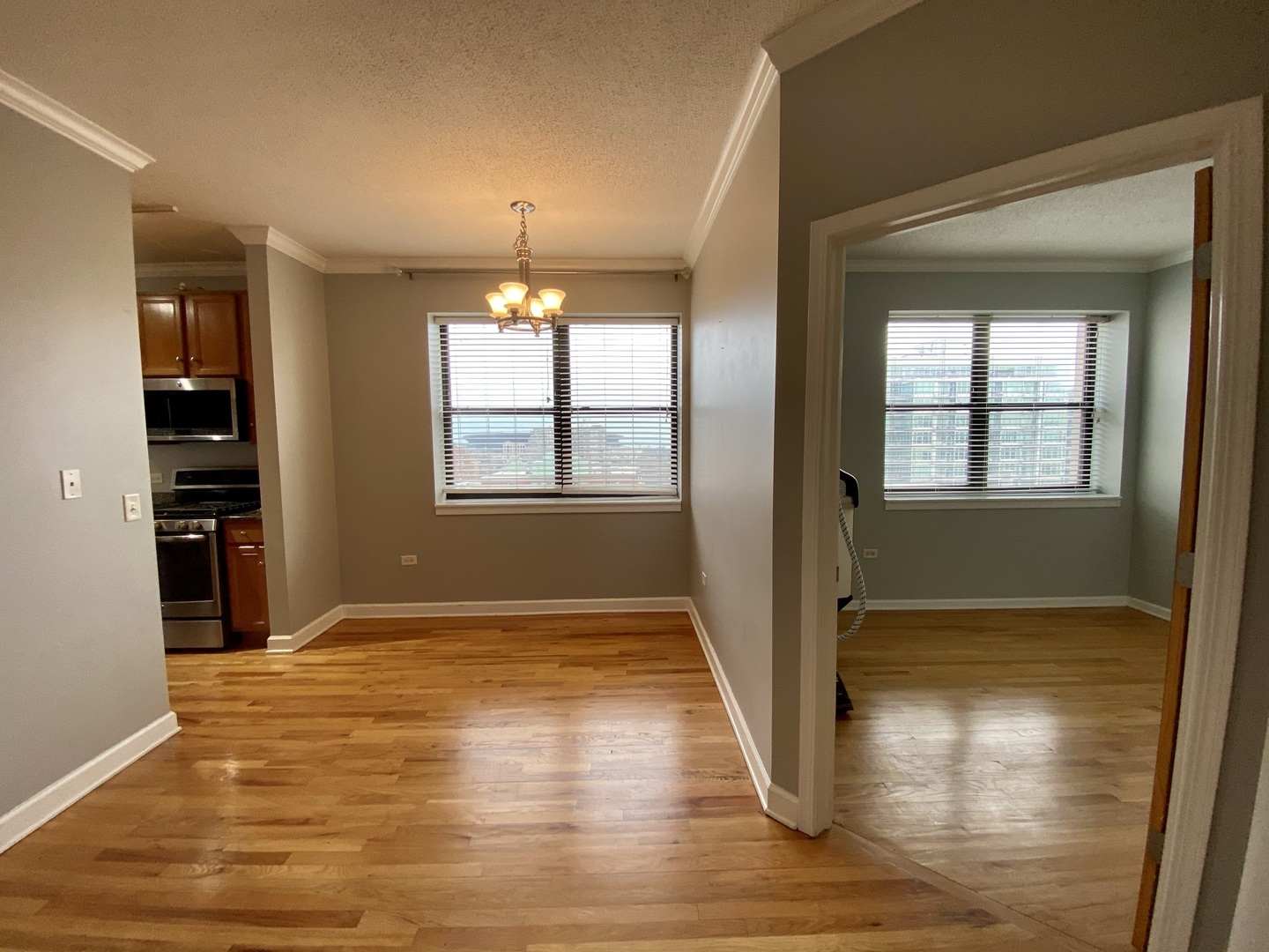 1529 South State Street, Unit 11A Chicago, IL 60605 - Photo 4 of 41