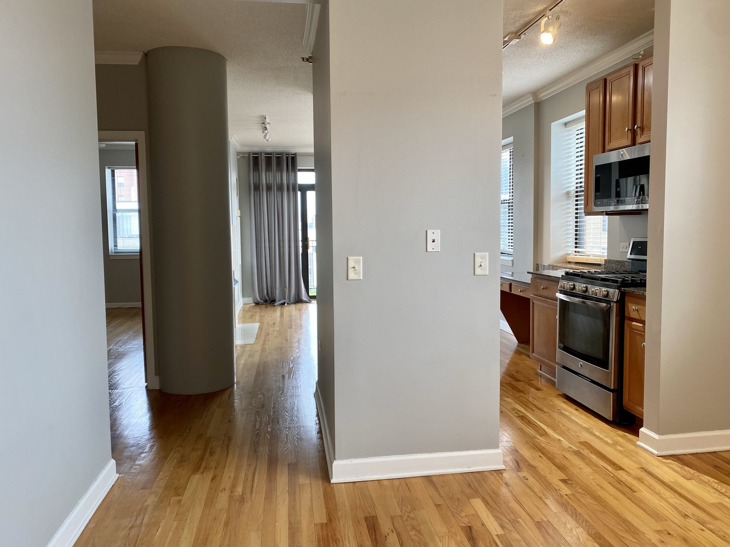 1529 South State Street, Unit 11A Chicago, IL 60605 - Photo 37 of 41