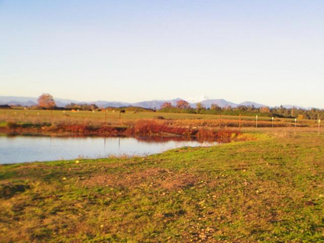 Kimberly Road Anderson, CA 96007 - Photo 4 of 18 4