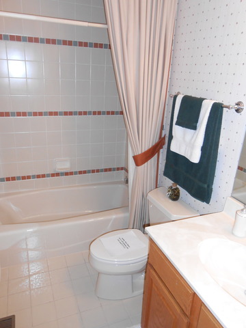 1607 Park Ridge Park Ridge, IL 60068 - Photo 19 of 25