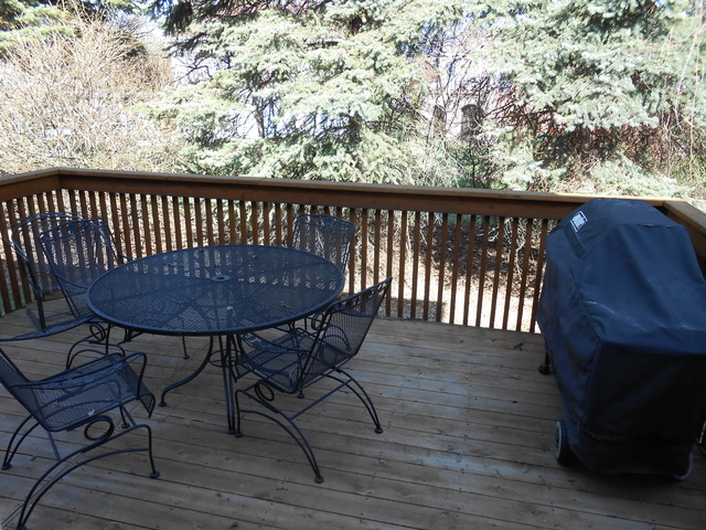 1607 Park Ridge Park Ridge, IL 60068 - Photo 25 of 25