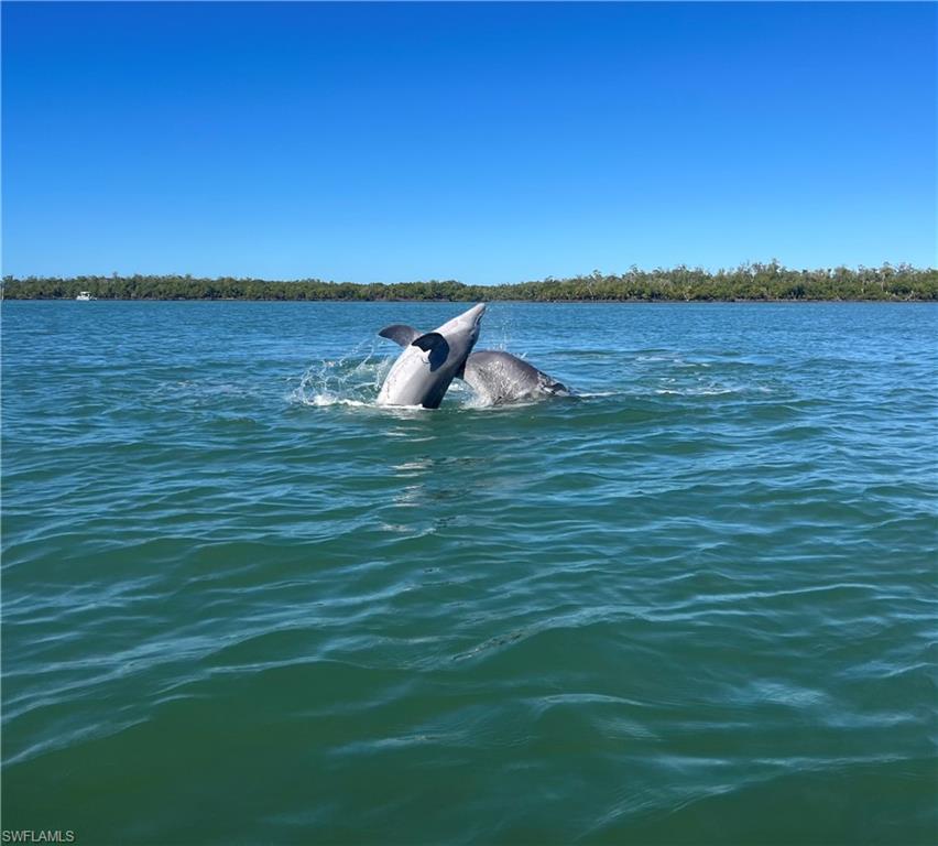 107 West Hilo Street Naples, FL 34113 - Photo 32 of 33 a view of a lake with a house in background