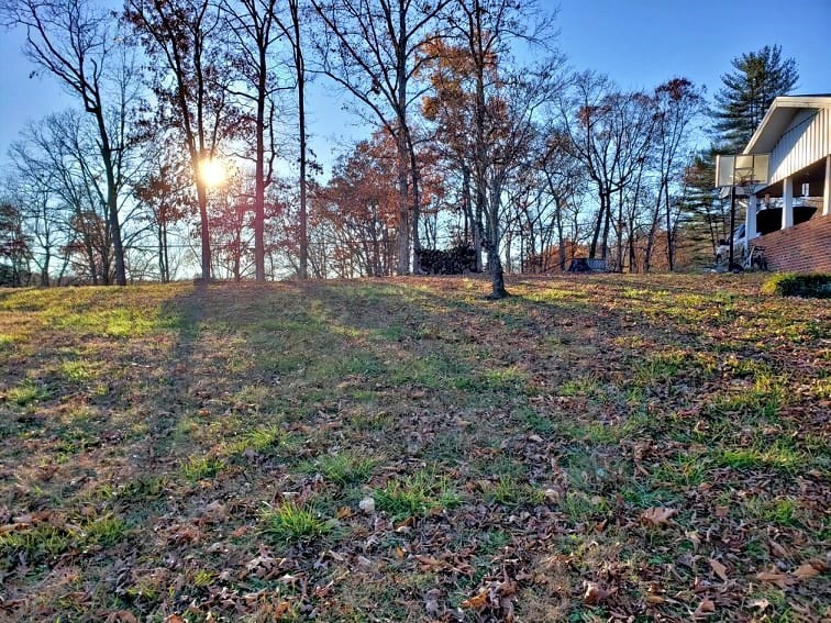 192 Crestwood Circle Decatur, TN 37322 - Photo 40 of 50 Gallery Image 40