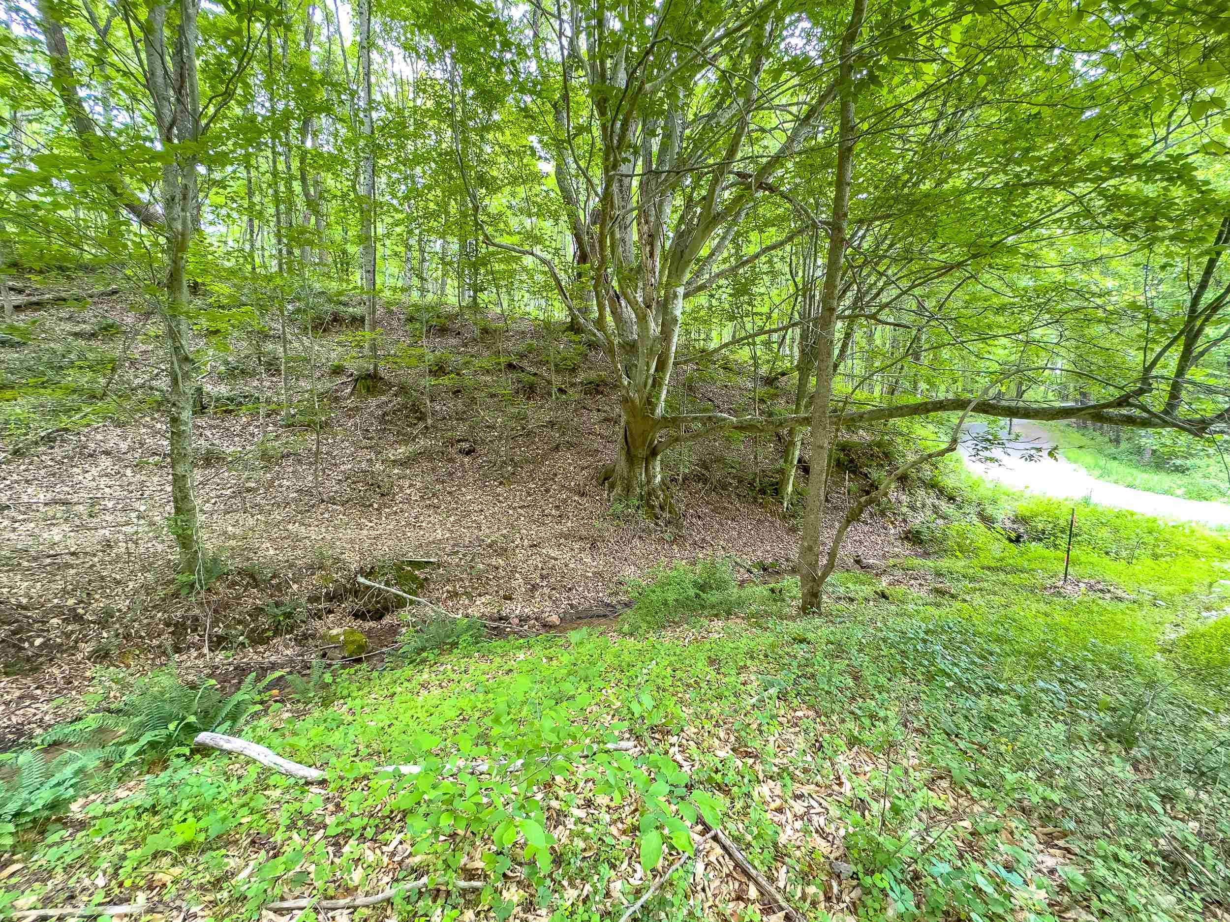 345 Apache Road Woodlawn, VA 24381 - Photo 28 of 52 Gallery Image 28