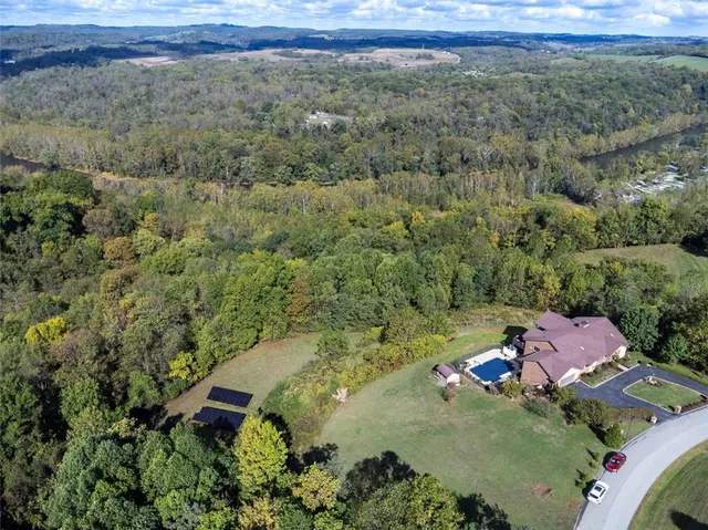 a view of a lush green forest