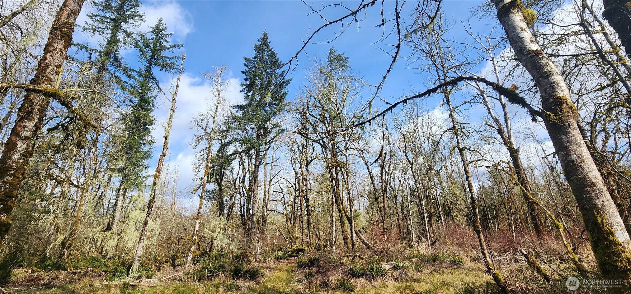 a backyard of a building