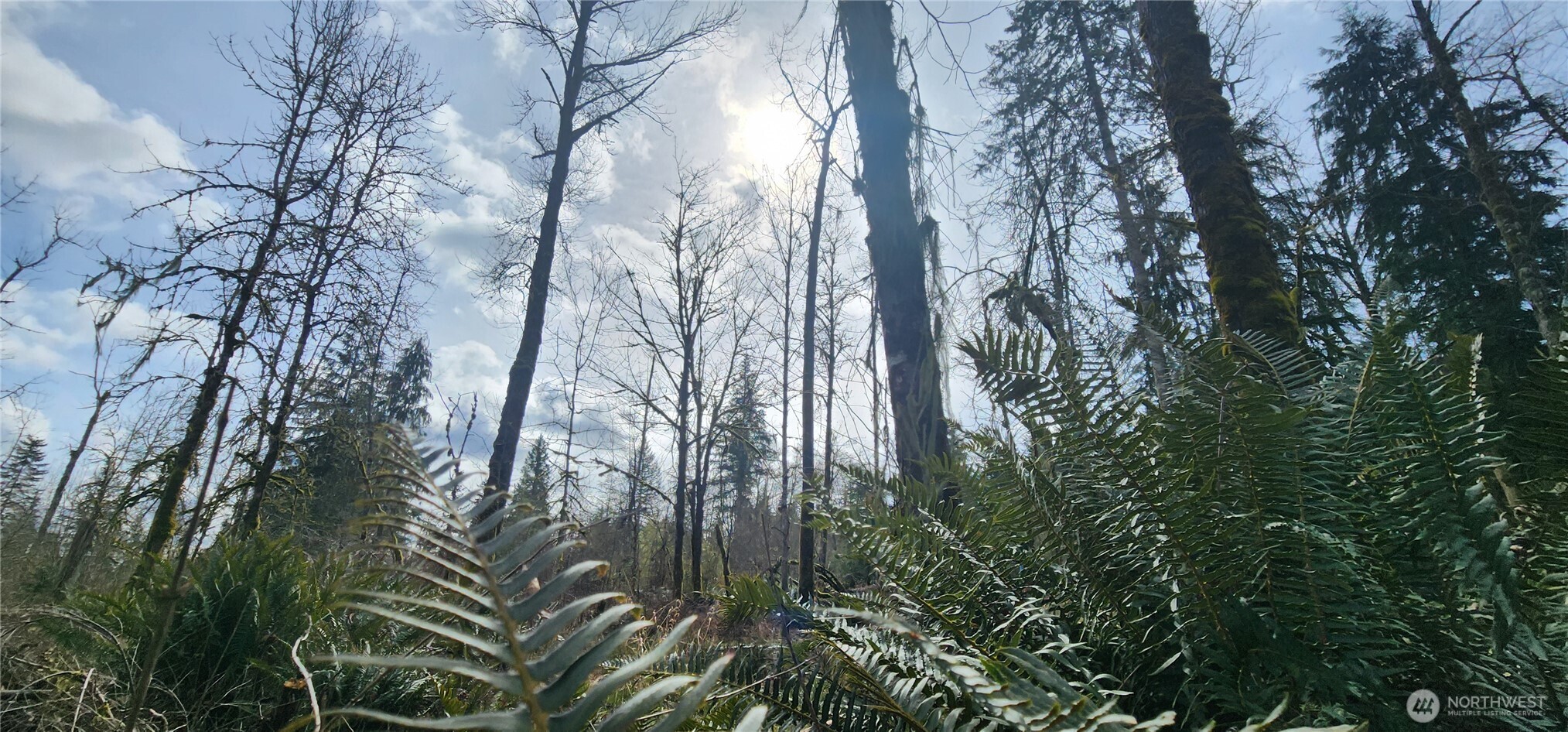 285 Justus Road Cinebar, WA 98533 - Photo 13 of 29 a backyard of a house