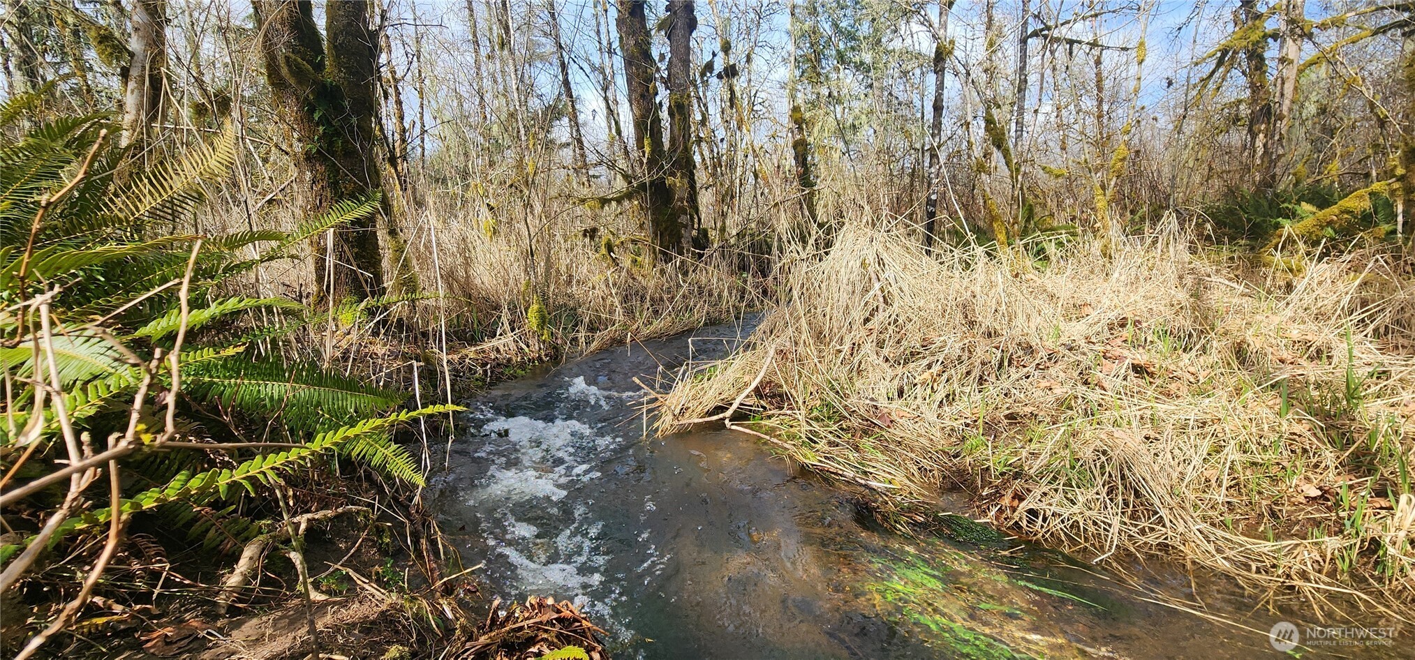 285 Justus Road Cinebar, WA 98533 - Photo 19 of 29 a view of backyard of a house