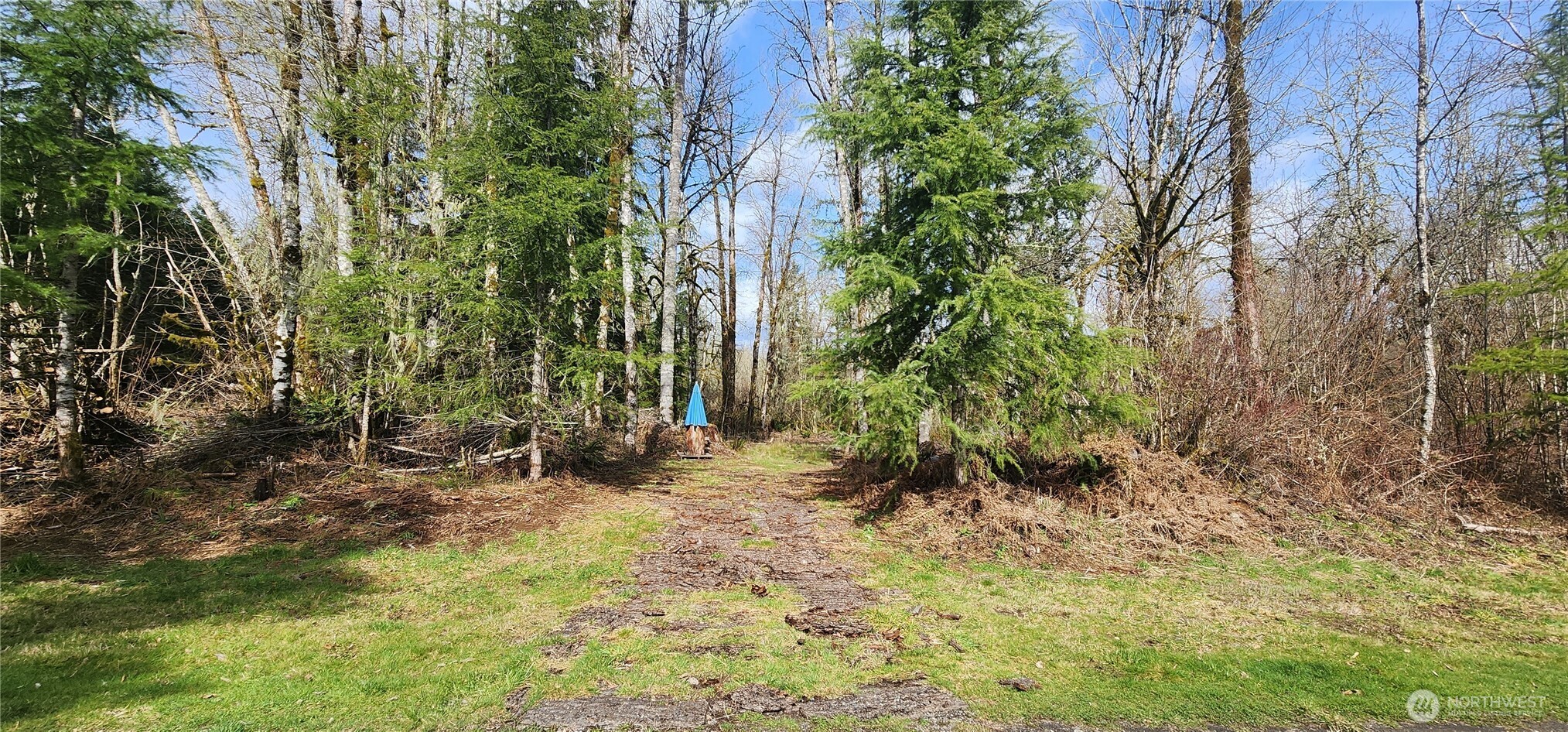 285 Justus Road Cinebar, WA 98533 - Photo 2 of 29 a view of outdoor space and trees
