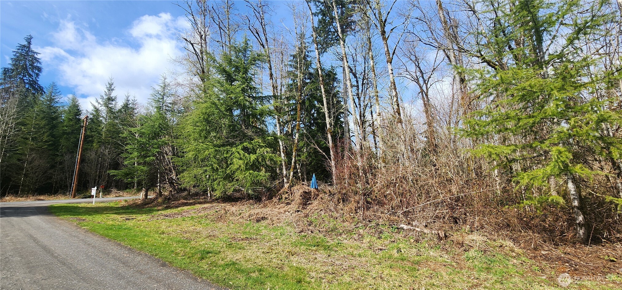 285 Justus Road Cinebar, WA 98533 - Photo 26 of 29 a view of a yard with plants and trees