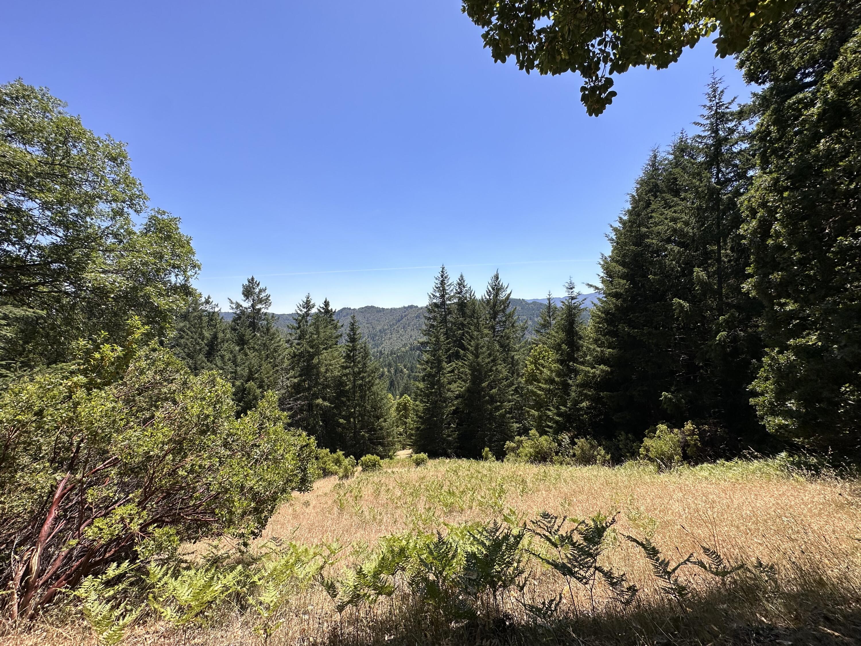950 Powell Crk Road Garberville, CA 95542 - Photo 48 of 78