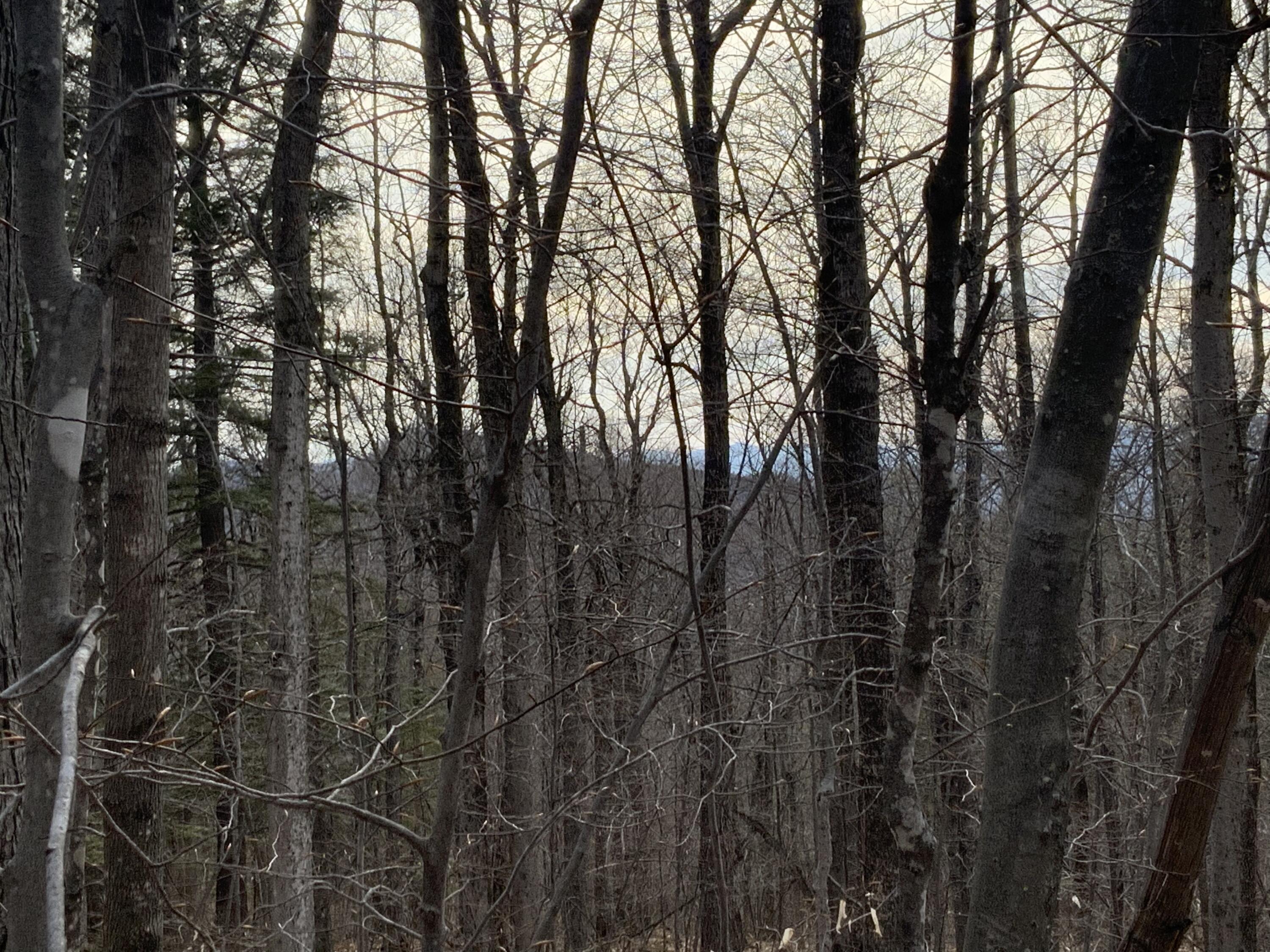 157 Hall Hill Road Rumford, ME 04276 - Photo 25 of 27 7CA4A0DB-2C35-4127-BAA1-B9EB5D4B1B1F