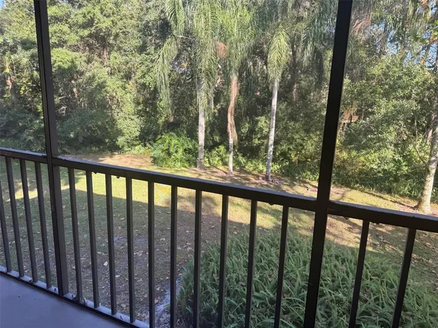 a view of a green forest