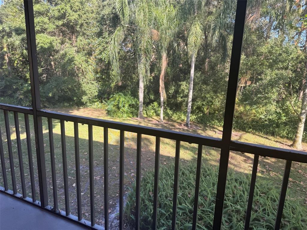 11707 Raintree Village Boulevard, Unit C Temple Terrace, FL 33617 - Photo 26 of 31 a view of a green forest