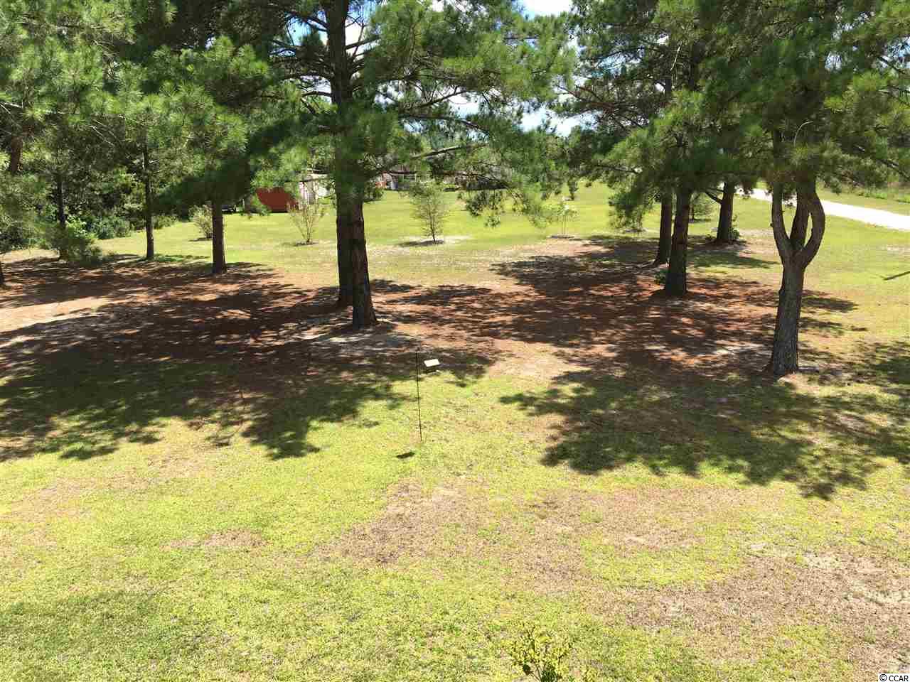 481 McNabb Short Cut Road Loris, SC 29569 - Photo 24 of 25 Gallery Image 24