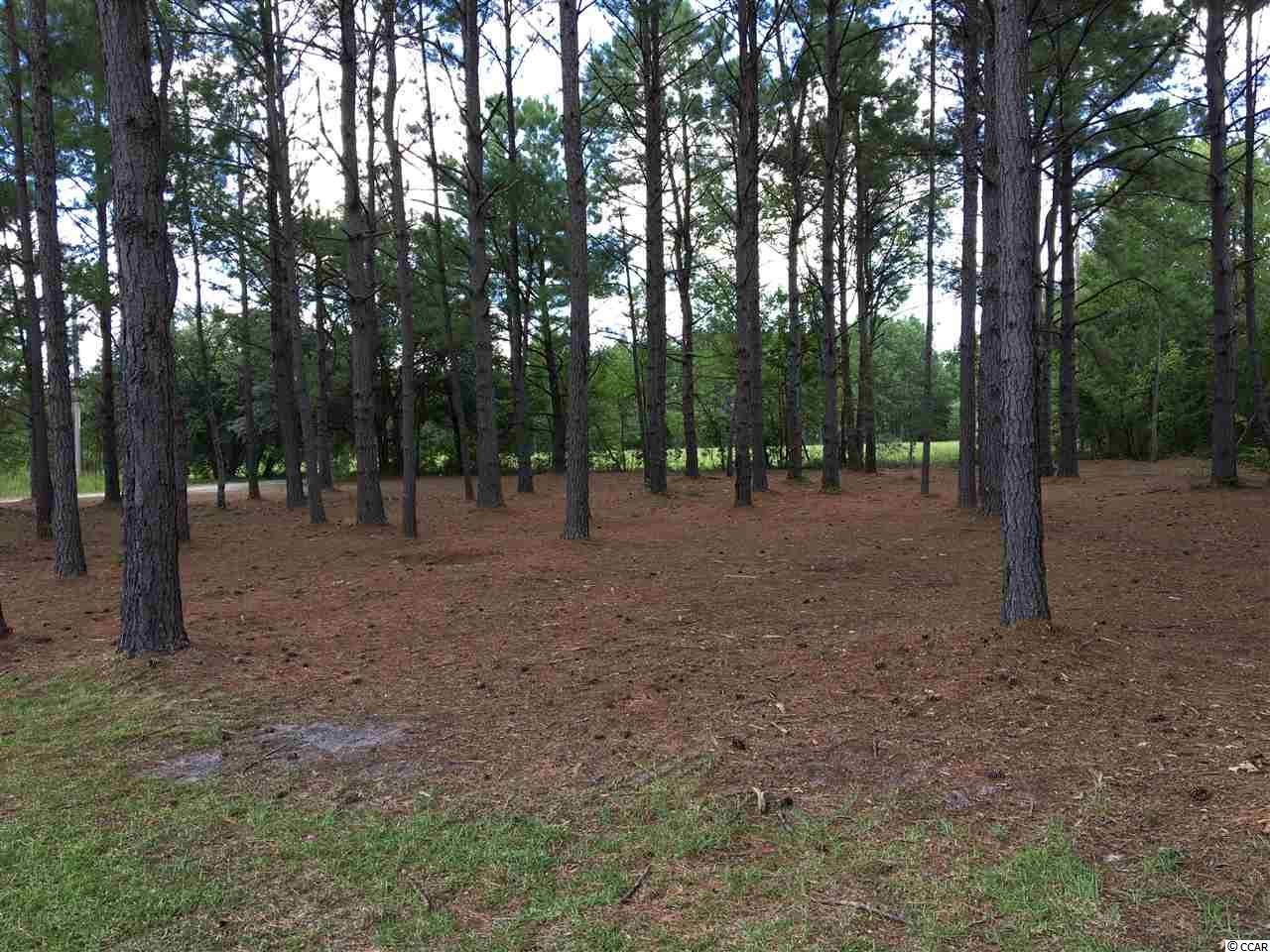 481 McNabb Short Cut Road Loris, SC 29569 - Photo 4 of 25 Gallery Image 4