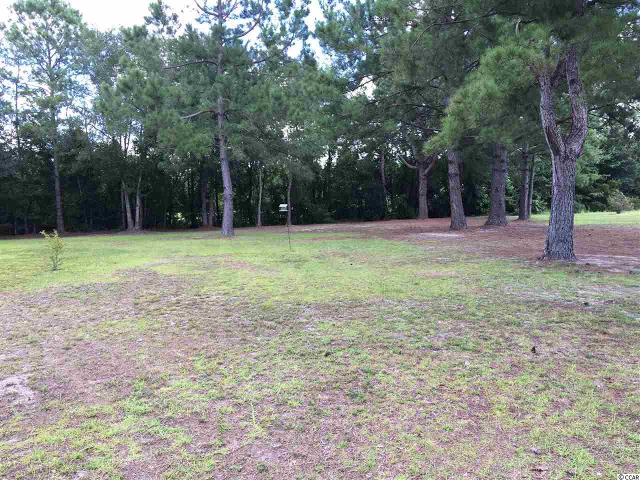 481 McNabb Short Cut Road Loris, SC 29569 - Photo 5 of 25 Gallery Image 5
