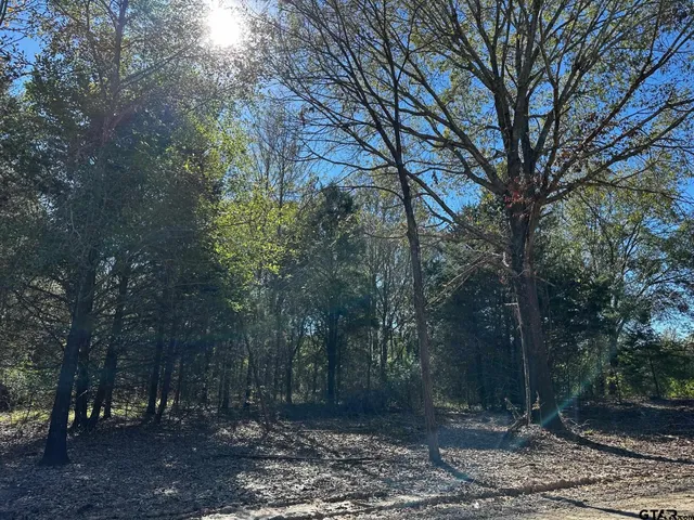 $260,000 | 337 Private Road 8507, Van, TX 75790