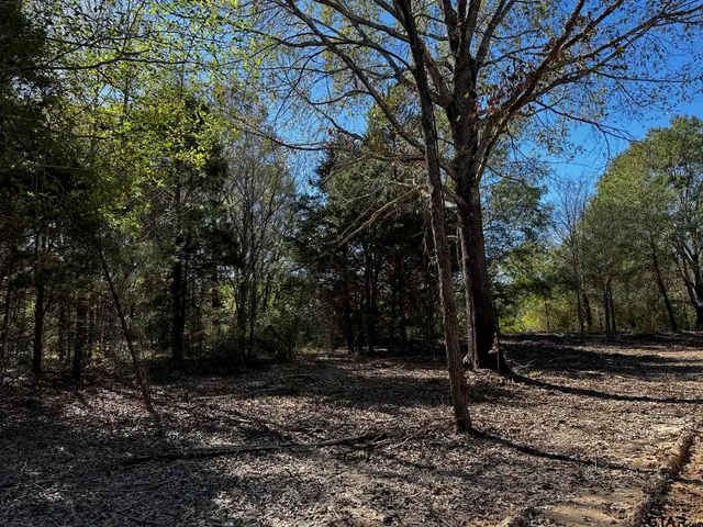 $260,000 | 337 Private Road 8507, Van, TX 75790