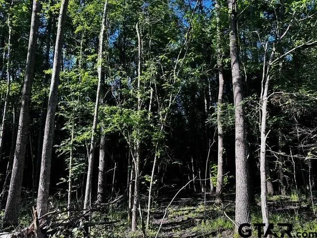 $260,000 | 337 Private Road 8507, Van, TX 75790