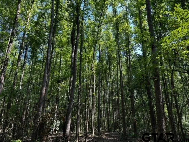 $260,000 | 337 Private Road 8507, Van, TX 75790