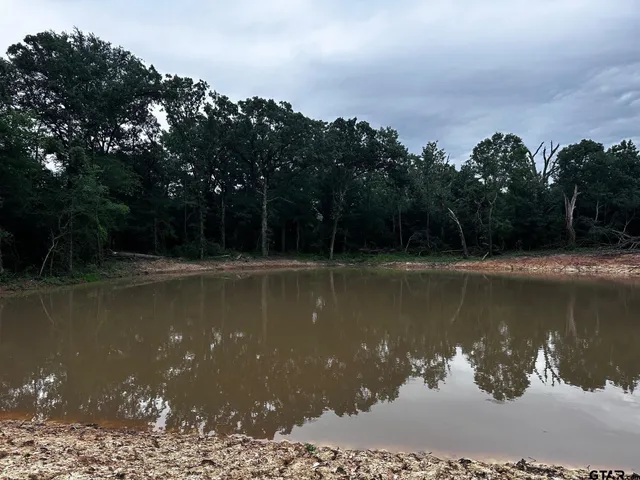 $260,000 | 337 Private Road 8507, Van, TX 75790